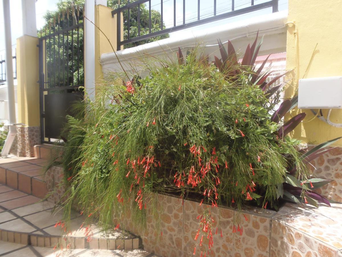 קפסטר-בל-או Villa Mancina מראה חיצוני תמונה